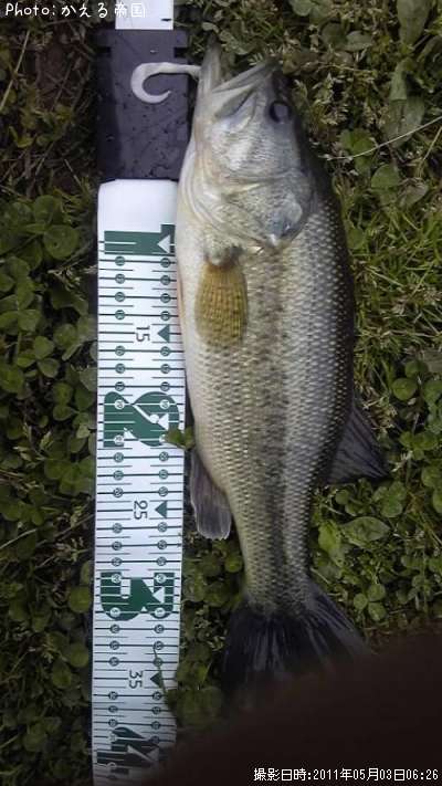 �֥�å��Х�