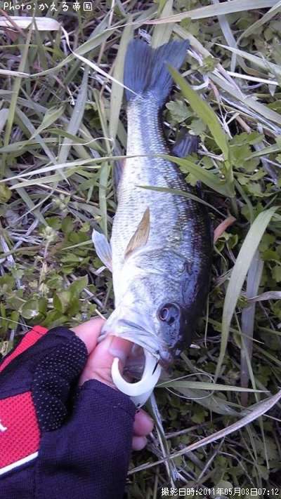 �֥�å��Х�