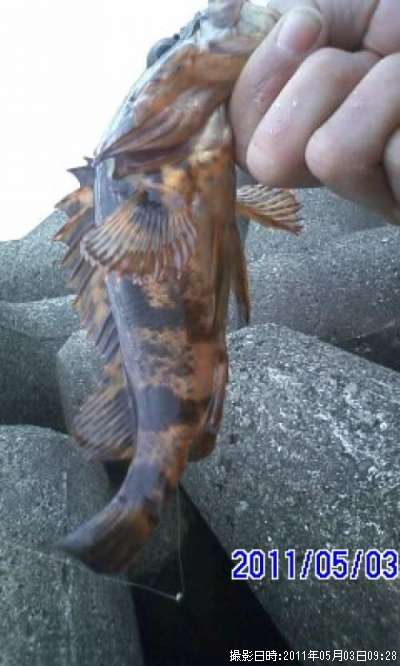 �����Υ���Х�