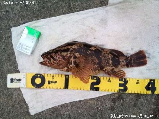 �����Υ���Х�