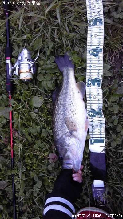 �֥�å��Х�