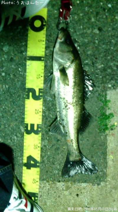 �����Х�