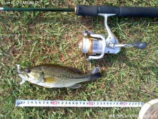 �֥�å��Х�