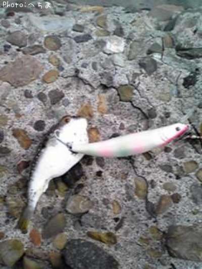 �����ե�