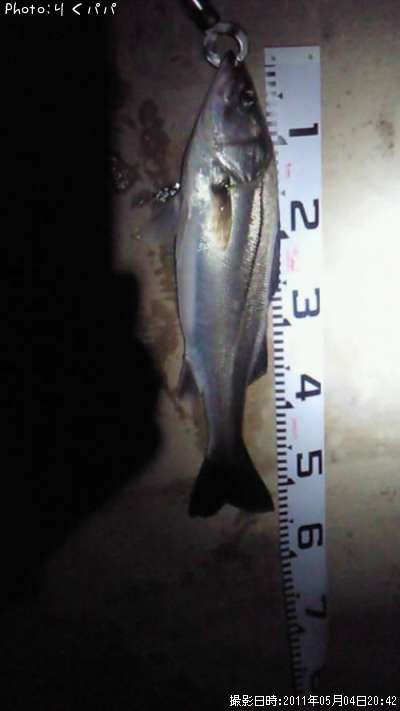 �����Х�