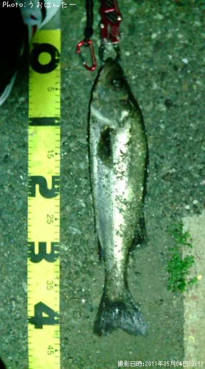 �����Х�