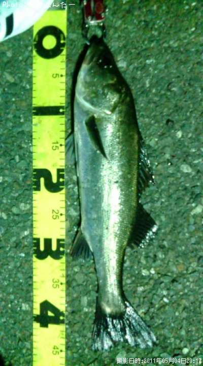 �����Х�