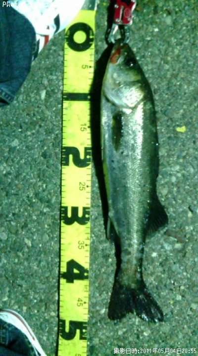 �����Х�