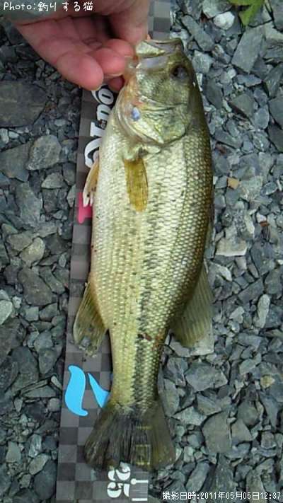 �֥�å��Х�