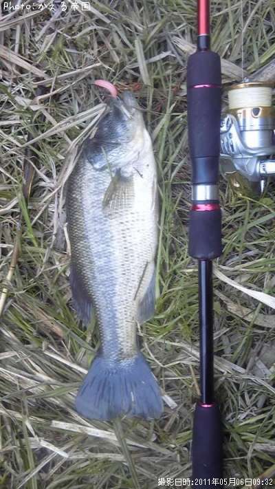 �֥�å��Х�