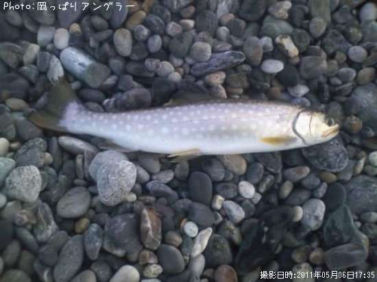 ���ߥ���