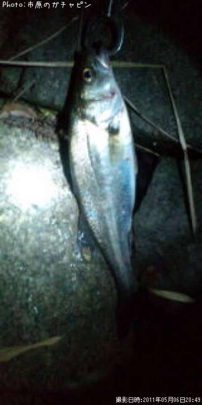 �����Х�