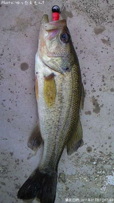 �֥�å��Х�