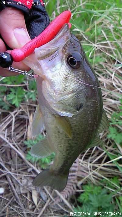 �֥�å��Х�