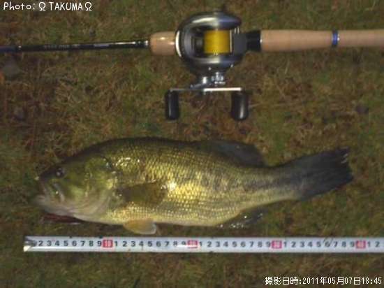 �֥�å��Х�