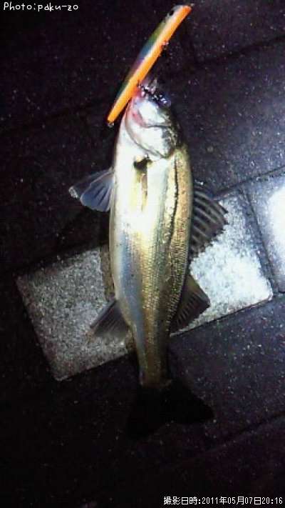 �����Х�