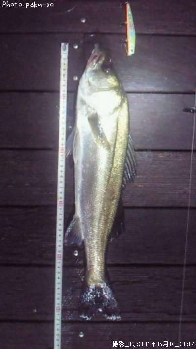 �����Х�