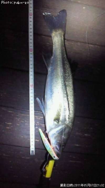 �����Х�