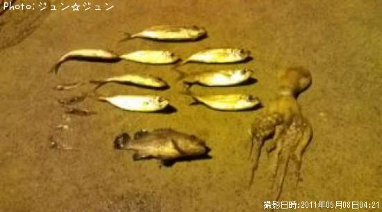 �������������������ե�