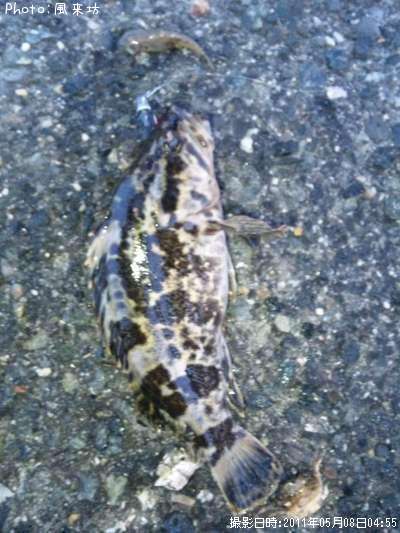 �����Υ���Х�