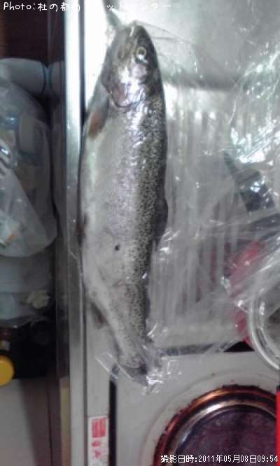 �쥤��ܡ��ȥ饦��