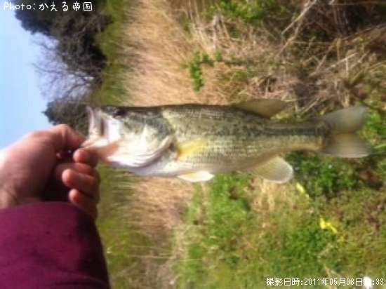 �֥�å��Х�