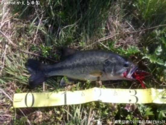 �֥�å��Х�