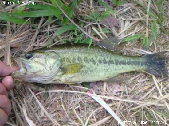 �֥�å��Х�