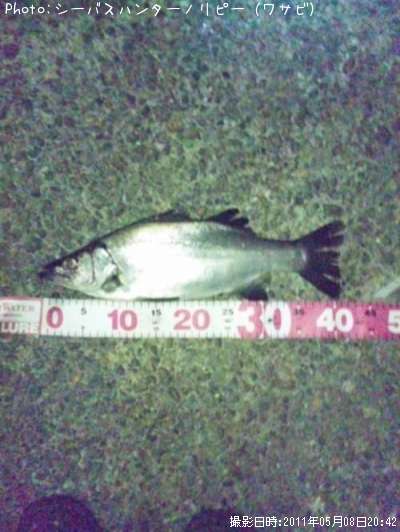 �ҥ饹����