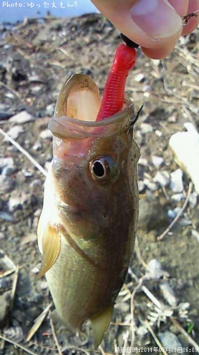 �֥�å��Х�