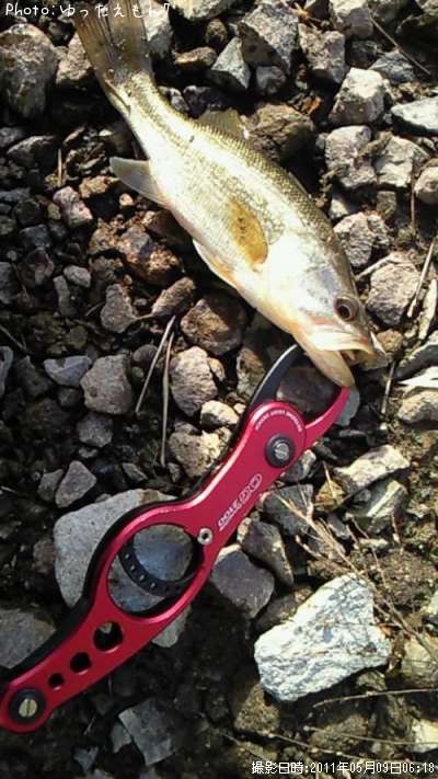 �֥�å��Х�