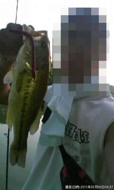 �֥�å��Х�