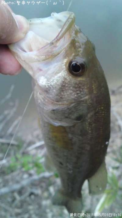 �֥�å��Х�