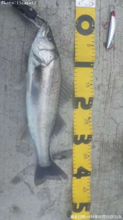 �����Х�