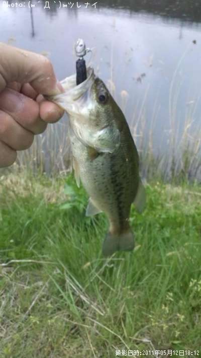 �֥�å��Х�