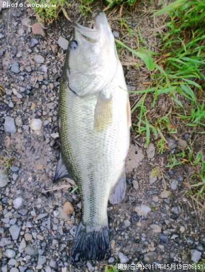 �֥�å��Х�