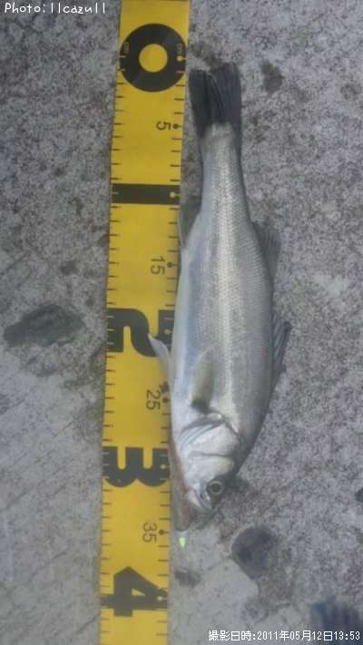 �����Х�