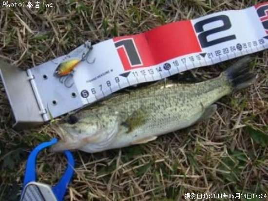 �֥�å��Х�