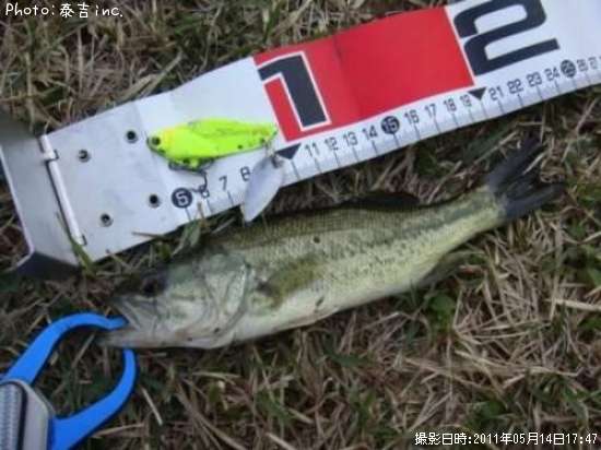 �֥�å��Х�