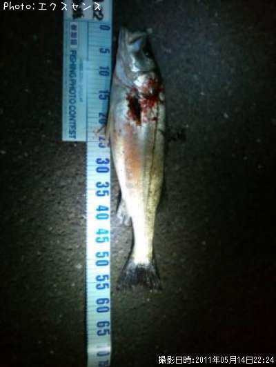 �����Х�