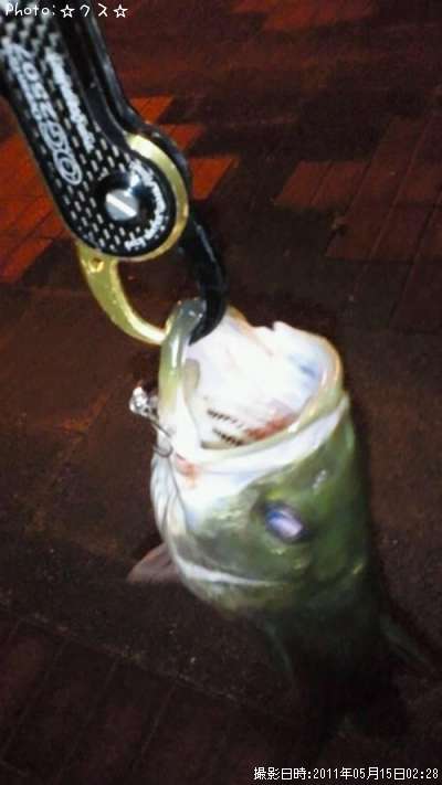 �����Х�