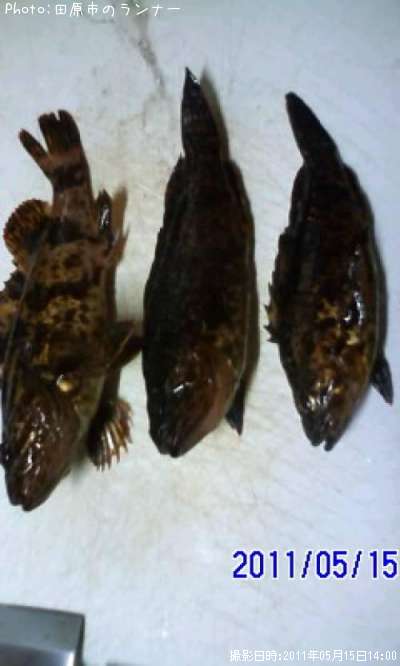 �����Υ���Х�