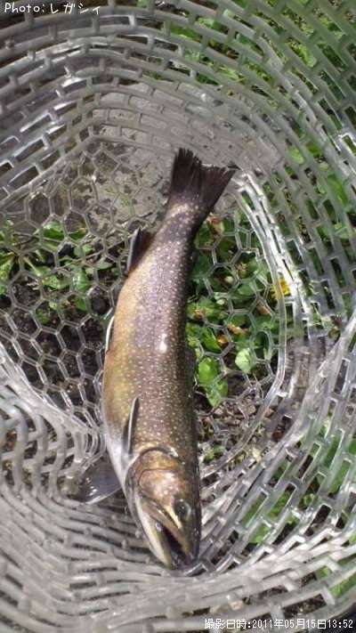 ���㥬���ȥ饦��