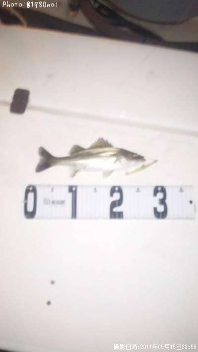 �����Х�