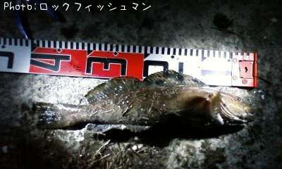 �����ʥ�