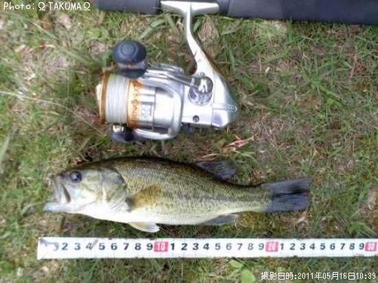 �֥�å��Х�