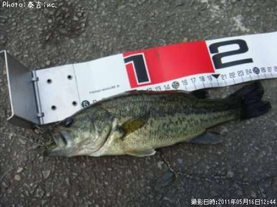 �֥�å��Х�