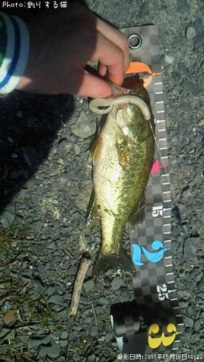 �֥�å��Х�