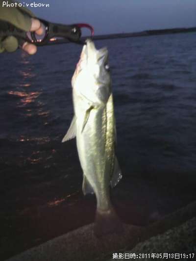 �����Х�