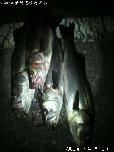 �����Х�